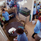 Illustration for article titled Nathan For You: “Pet Store/Maid Service”
